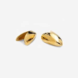 Mussels Gold by Anovi